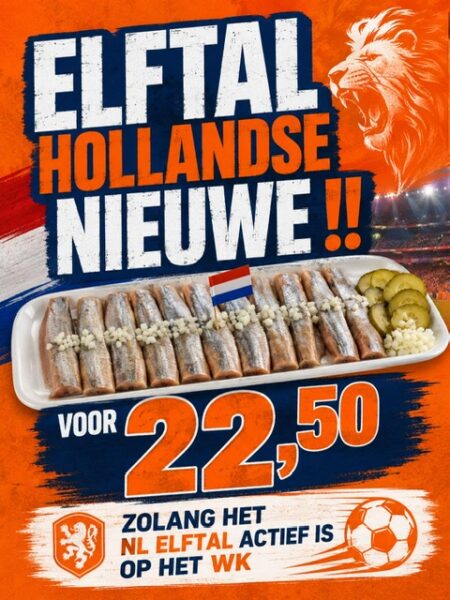 WK ACTIE HOLLANDSE NIEUWE (11 STUKS)