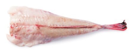 Zeeduivelstaart - ca. 800 - 1000 gram