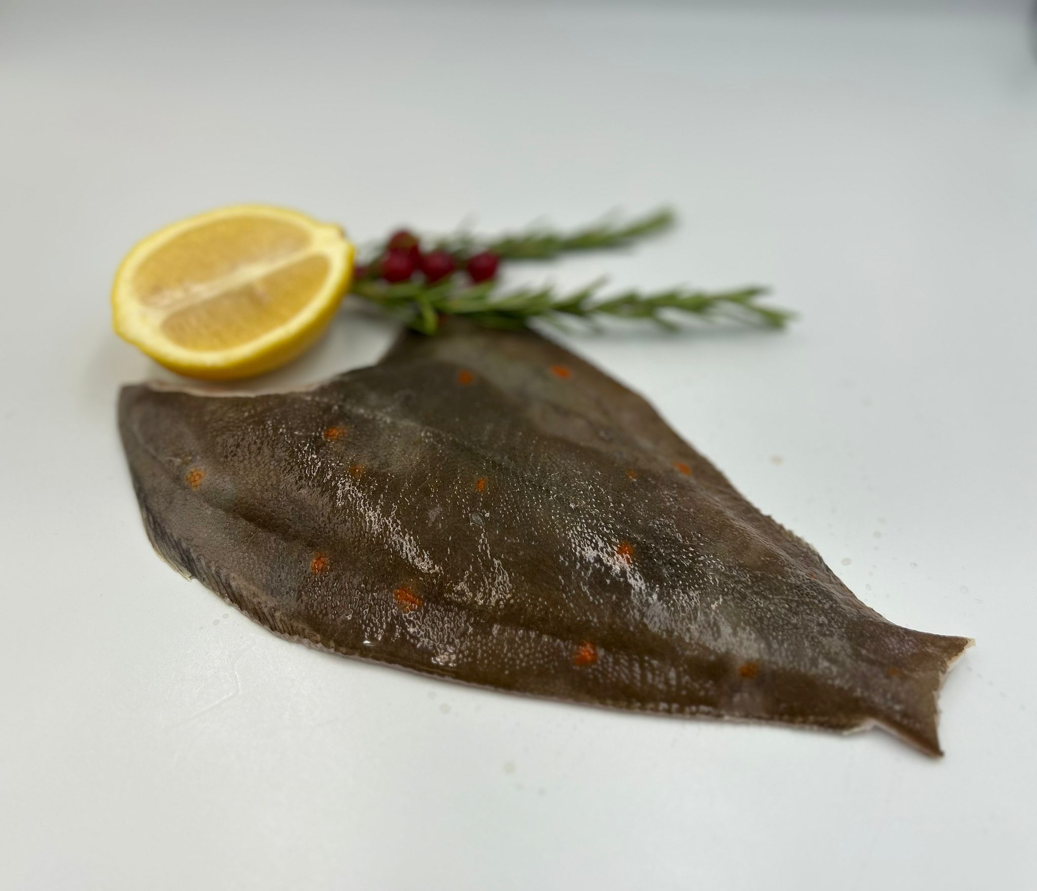 Schol panklaar ca. 300 gram